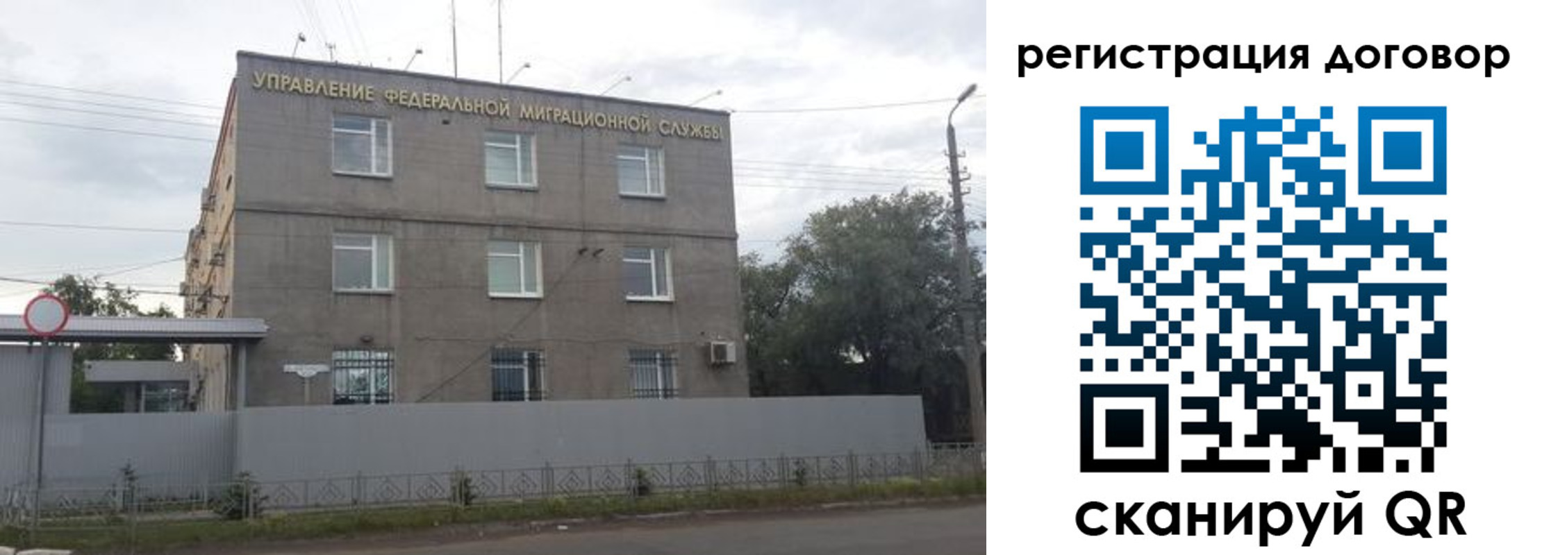 временная регистрация гарантия в Коле