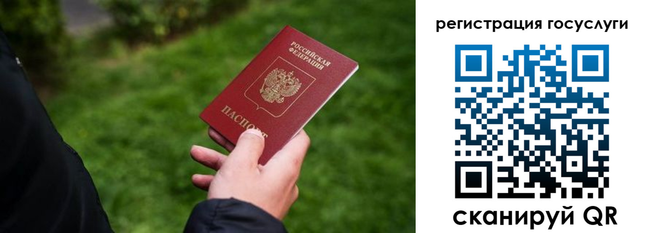прописка в Коле