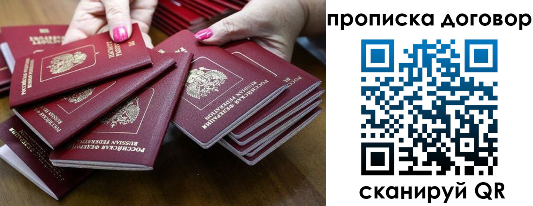 прописка в Коле